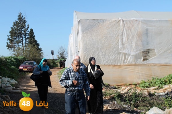 re7la tolkarem (44).JPG